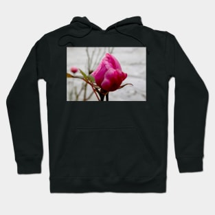 By Any Other Name Hoodie